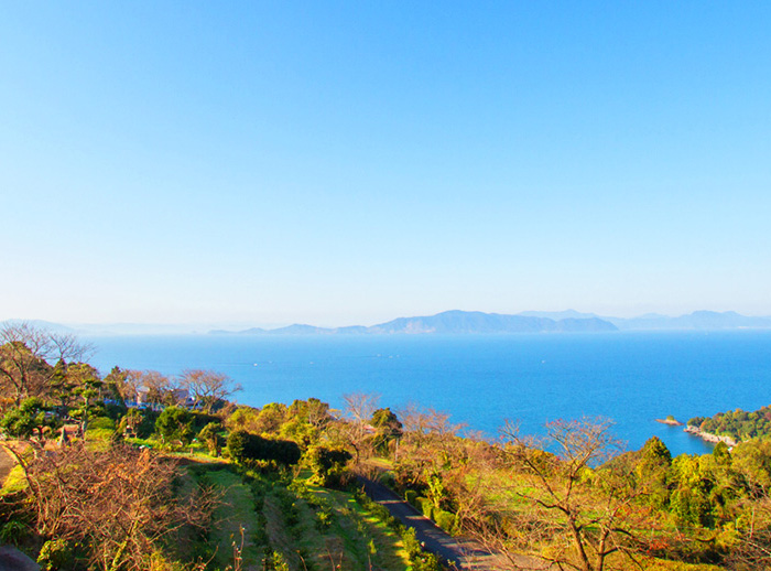 福田農場