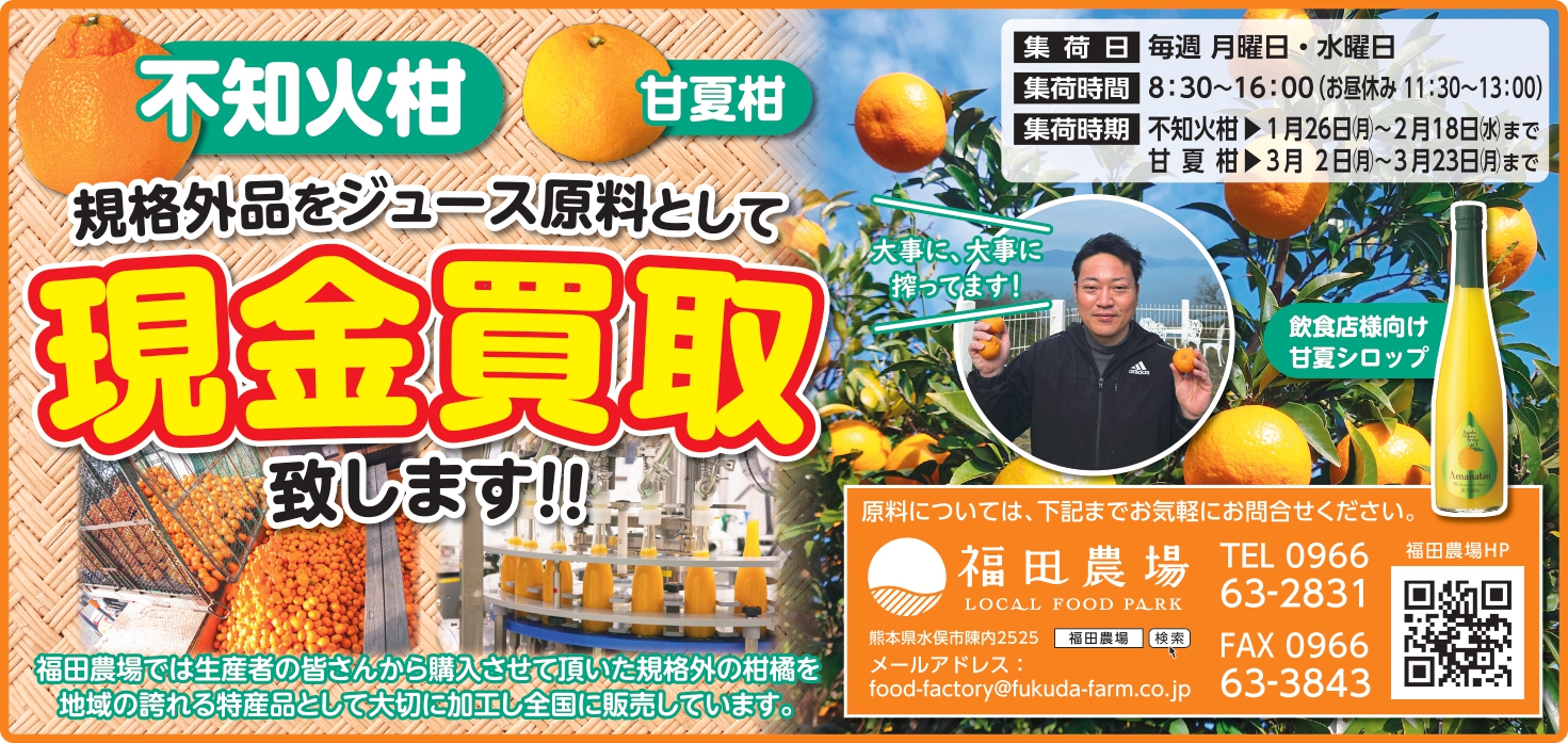 ジュース用のみかんを現金買取致します！ | 【公式】福田農場